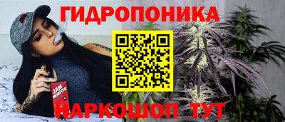 эйфоретик Можга
