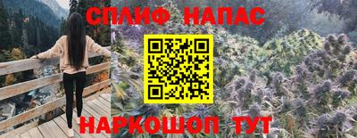 PSILOCYBIN Моздок