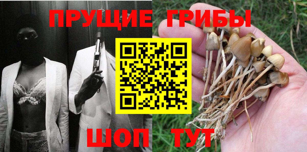 Урус-Мартан  Галлюциногенные грибы GOLDEN TEACHER  Галлюциногенные грибы Magic Shrooms  Вход с VPN 